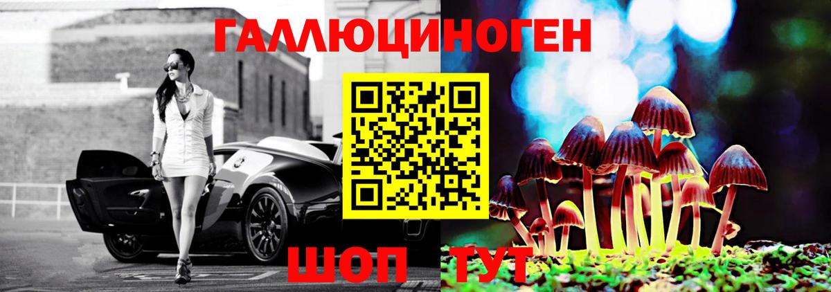 Псилоцибиновые грибы прущие грибы  Вход с VPN  Ставрополь 